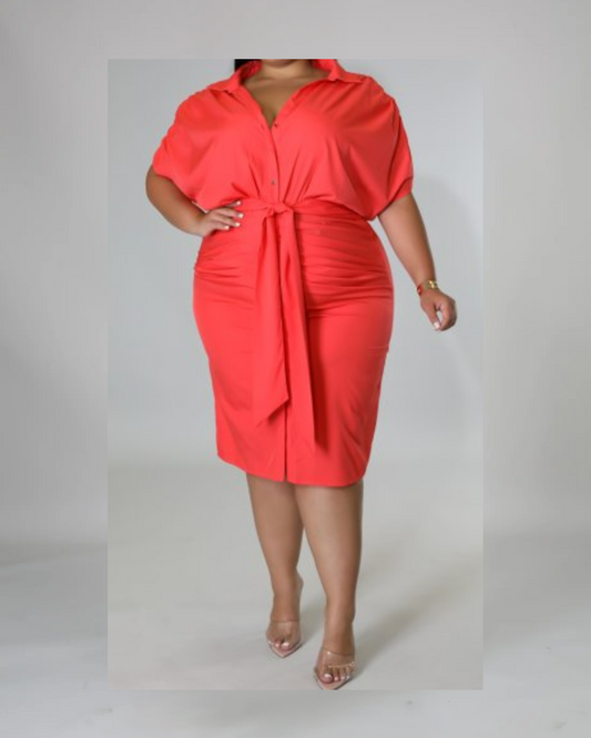 Scarlet Sophistication Dress