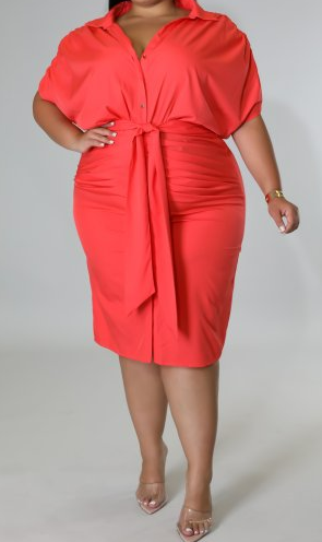 Scarlet Sophistication Dress